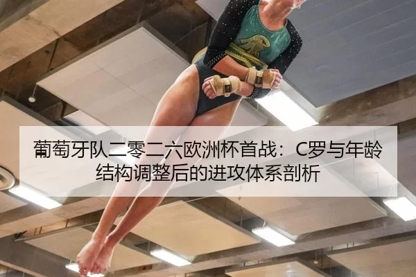 pu-tao-ya-dui-er-ling-er-liu-ou-zhou-bei-shou-zhan-luo-yu-nian-ling-jie-gou-tiao-zheng-hou-de-jin-gong-ti-xi-pou-xi-2-587.jpg
