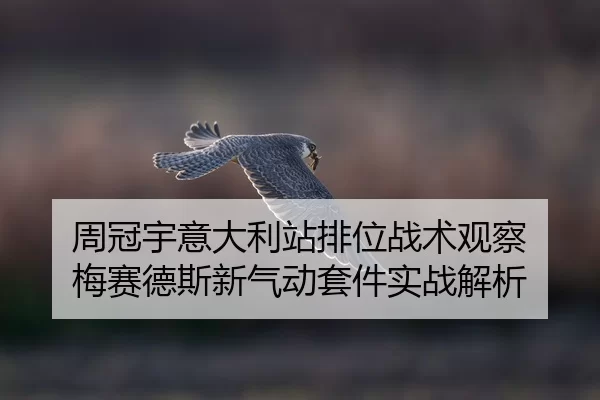 zhou-guan-yu-yi-da-li-zhan-pai-wei-zhan-shu-guan-cha-mei-sai-de-si-xin-qi-dong-tao-jian-shi-zhan-jie-xi-2-922.jpg